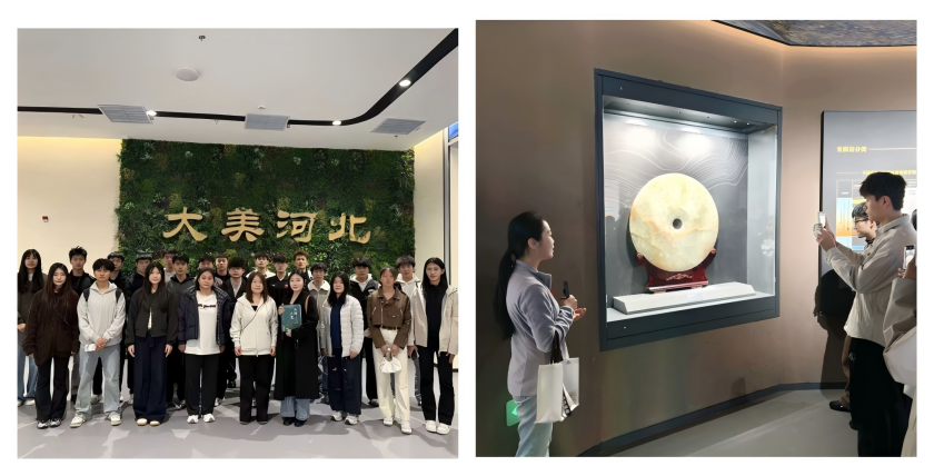 谈球吧客户端图片